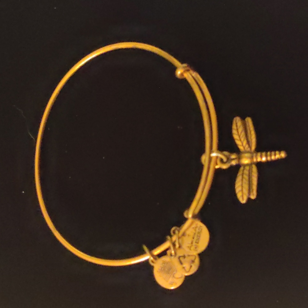 Alex and Ani Women's Gold Tone Bracelet - Dragonfly